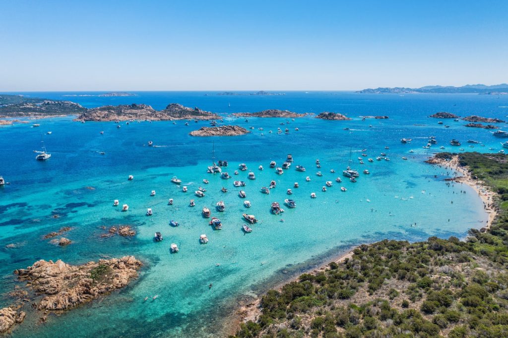 people swimming on beach during daytime